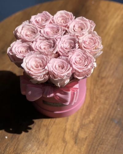 Kutuda Pembe Şoklu Gül