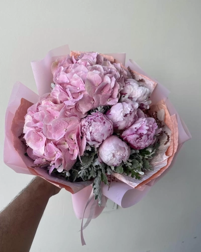 Pembe Ortanca Pembe Şakayık