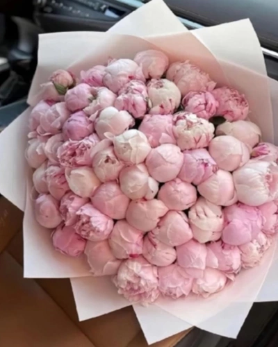 51 Pembe Şakayık Buketi