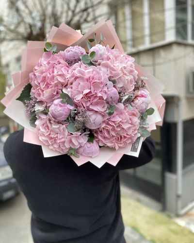 Şakayıklı Pembe Ortanca