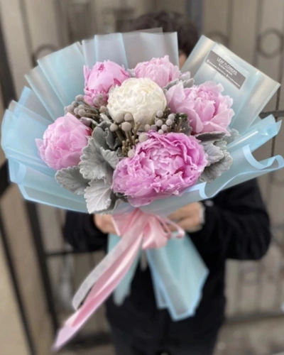 Pembe Beyaz Şakayık