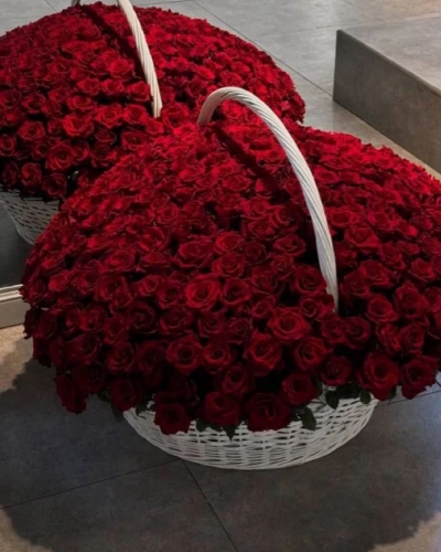 351 Adet Kırmızı Dev Gül Aranjmanı