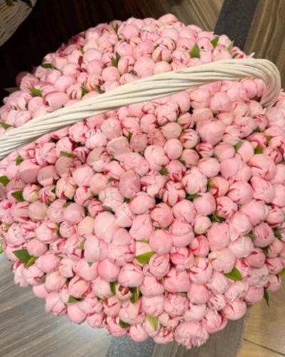 Sepette 401 Pembe Şakayık