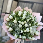 توليب أبيض