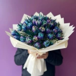 زنابق التوليب المجرية والخاصة