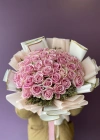 Pink Cream Equatorial Rose;