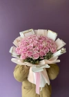 Pink Cream Equatorial Rose;