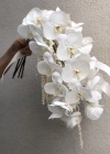 White Orchid Bridal Bouquet