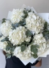 باقة الأزهار البيضاء مع الأوراق النعوم