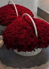 351 Adet Kırmızı Dev Gül Aranjmanı