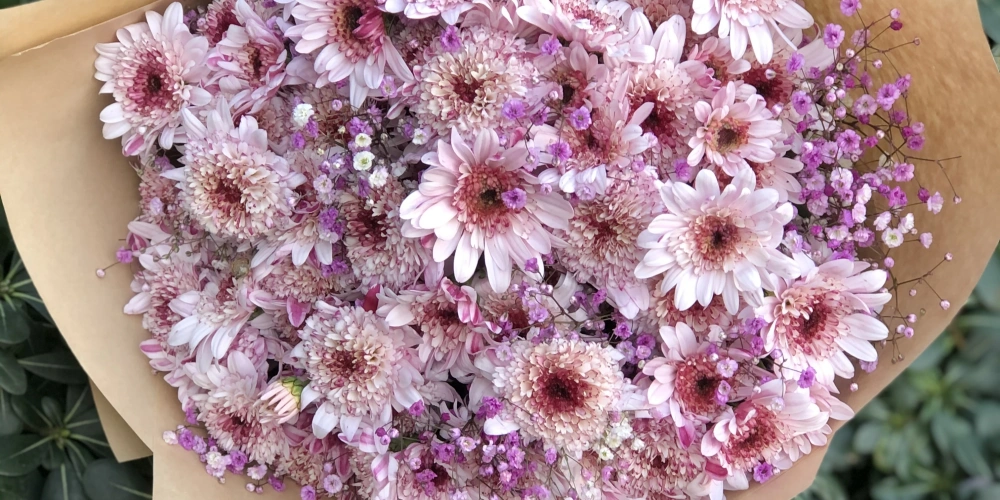 Vazoda Çiçek Bakımı: Buketler Nasıl Daha Uzun Süre Taze Kalır?