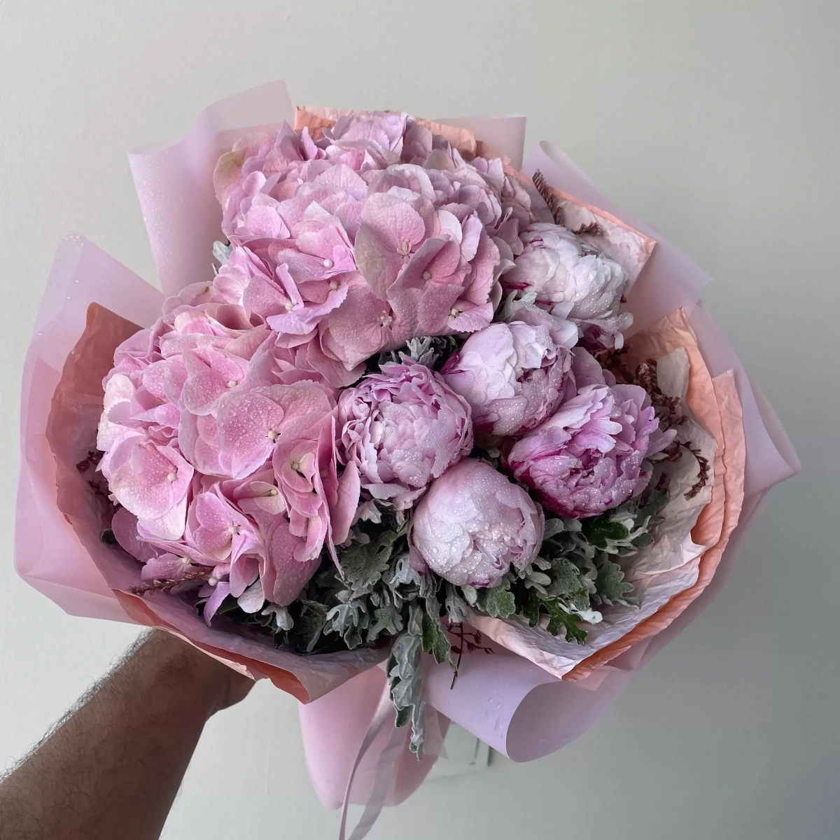 Pembe Ortanca Pembe Şakayık
