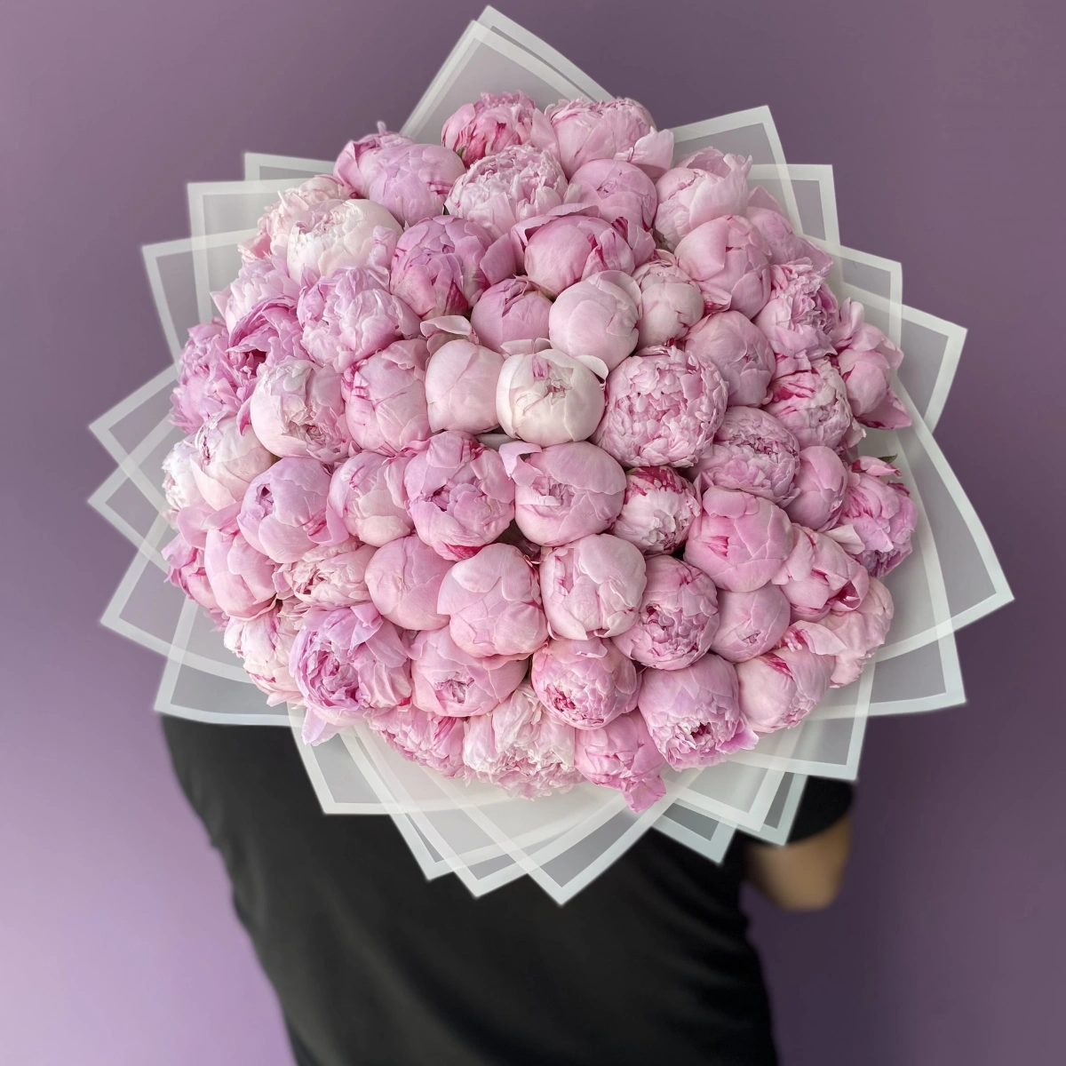 Pembe Şakayık 51