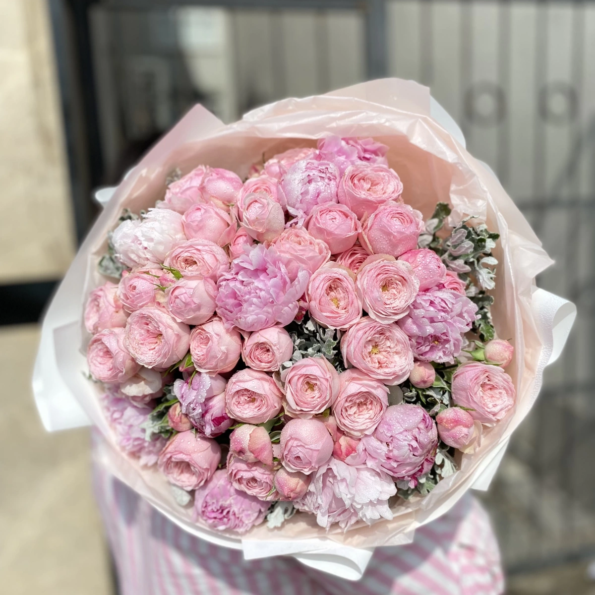 Pink Peony Pergola Special Rose
