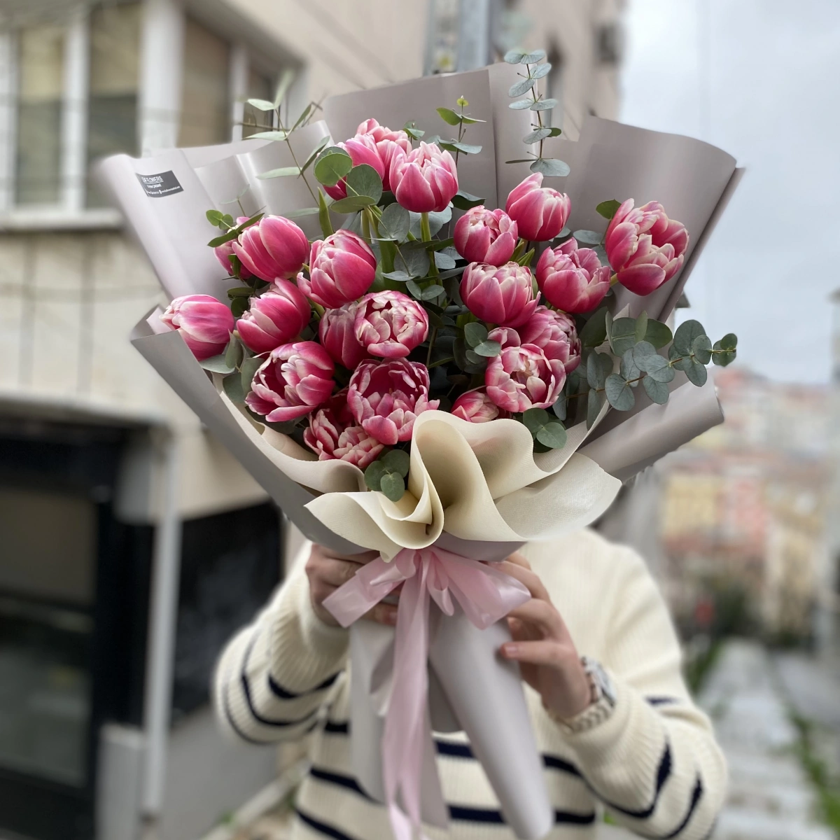 Pink Columbus Tulip