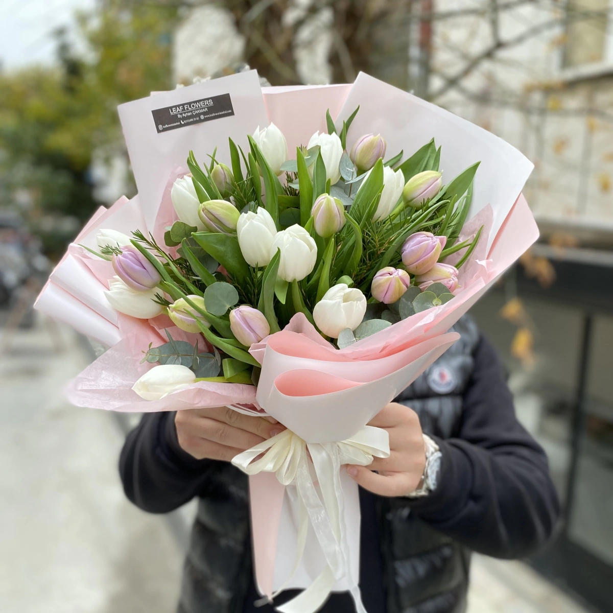 White Lilac Tulips