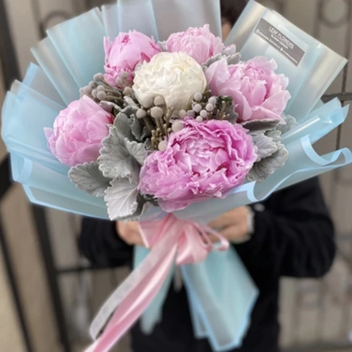 Pink White Peony