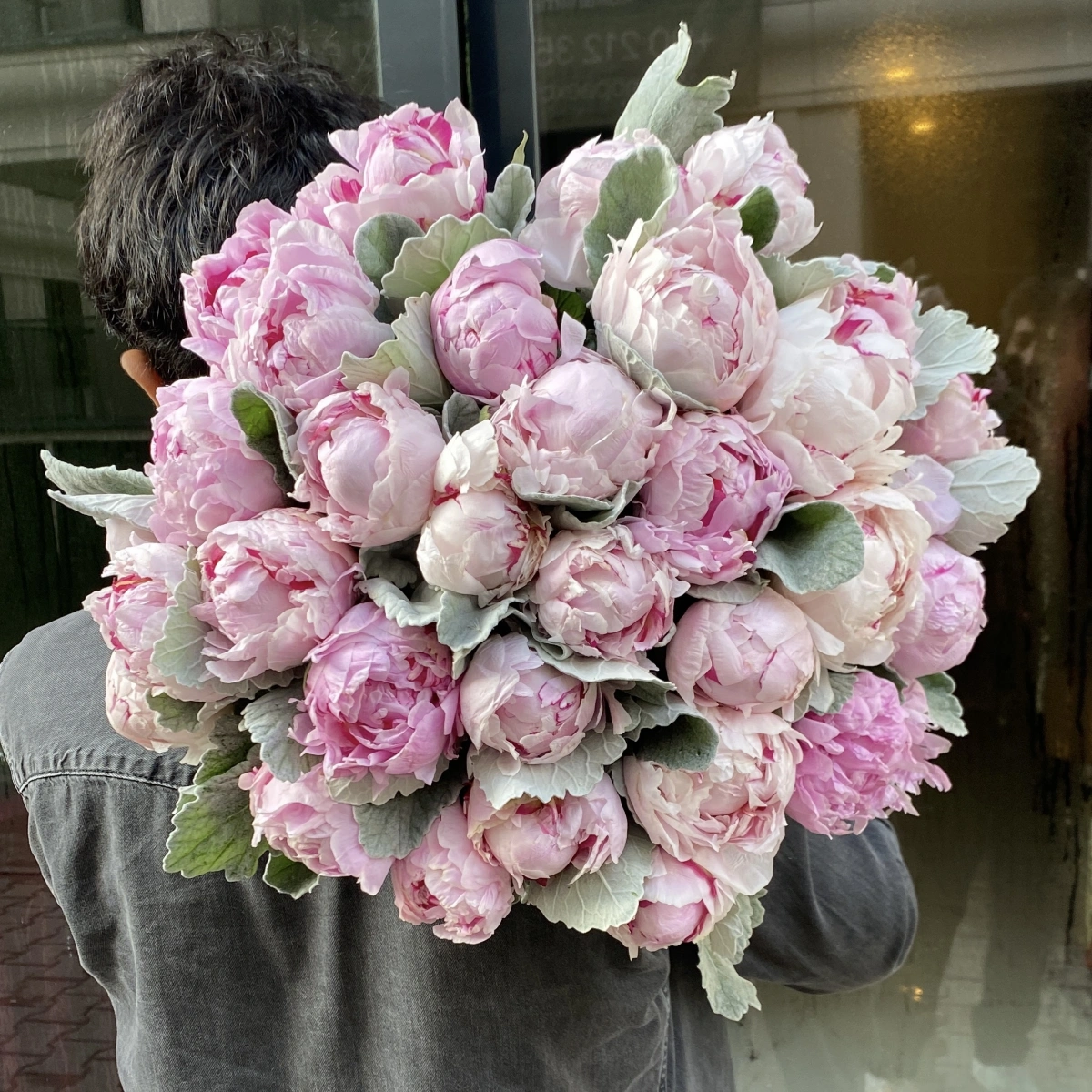 Pembe Şakayık 35 Lİ