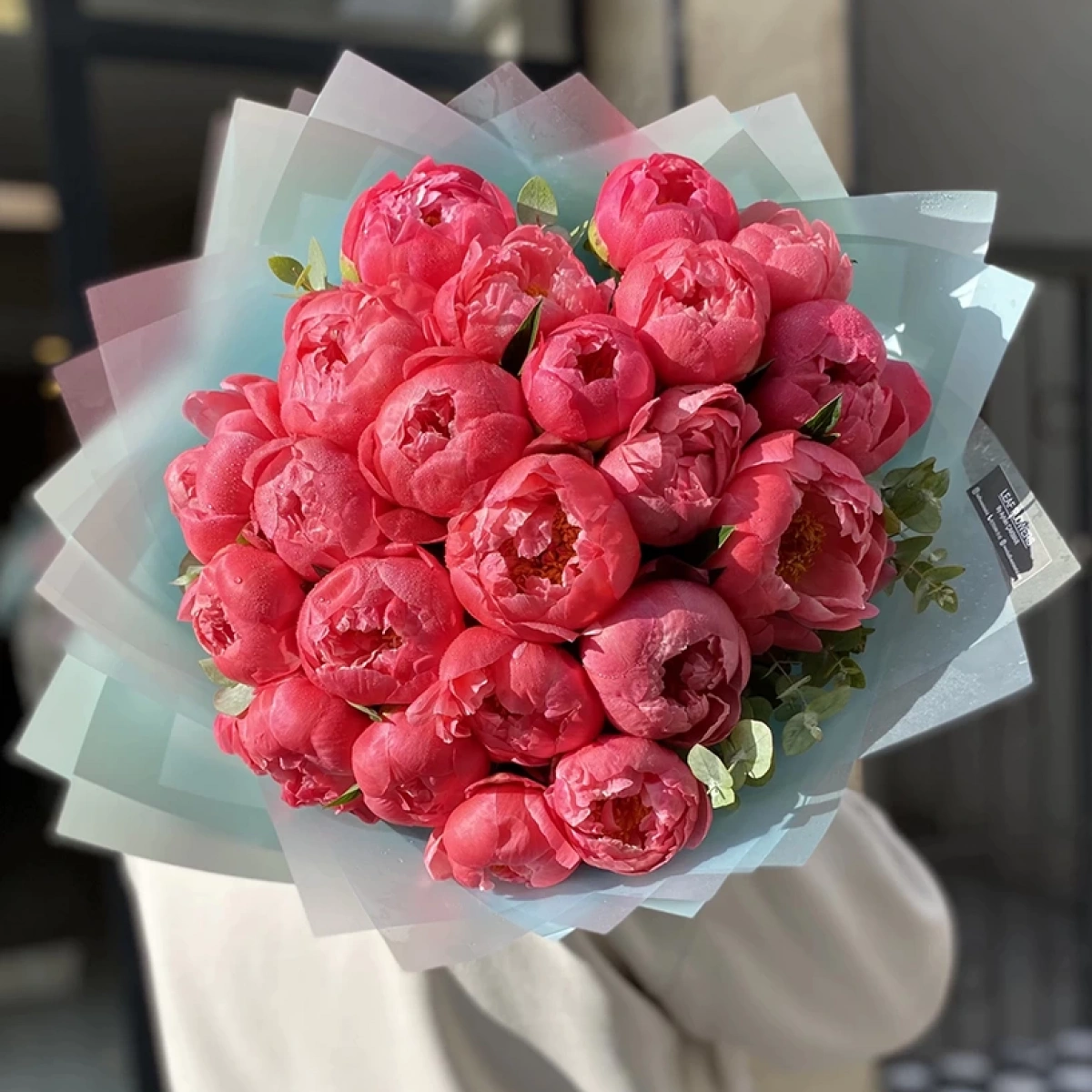 Peony Coral Sanset