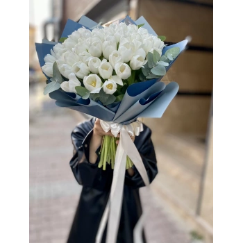 White Tulip