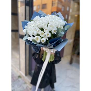 White Tulip
