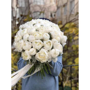 41 White Peony