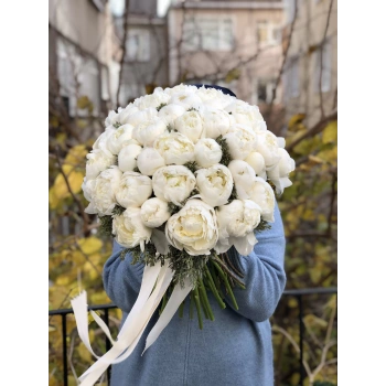 41 White Peony