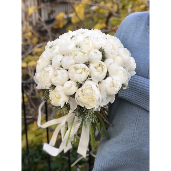 41 White Peony