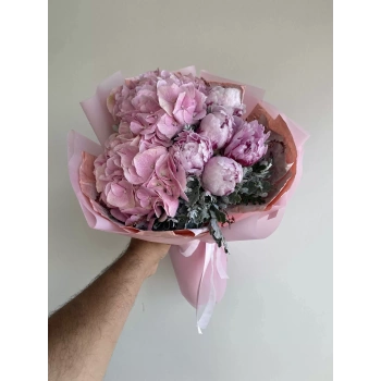 Pink Hydrangea Pink Peony