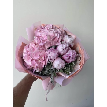 Pink Hydrangea Pink Peony