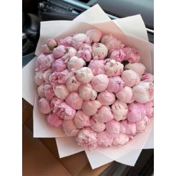 51 Pink Peony Bouquet