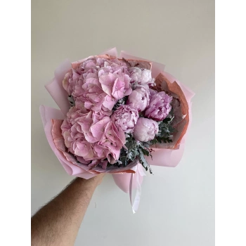 Pink Hydrangea Pink Peony