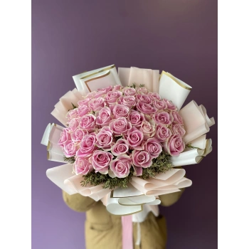 Pink Cream Rose