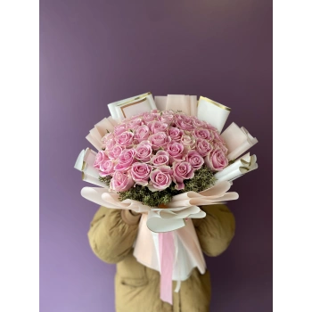 Pink Cream Rose