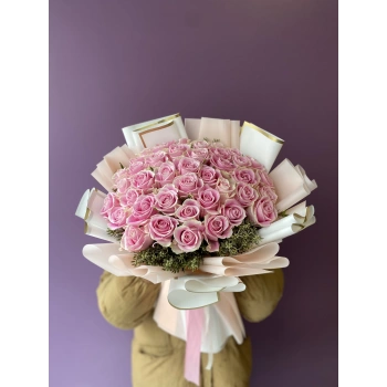 Pink Cream Rose