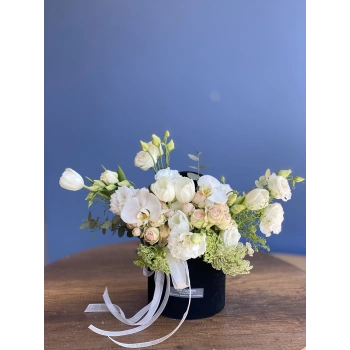 White Cream Arrangement in Black Box