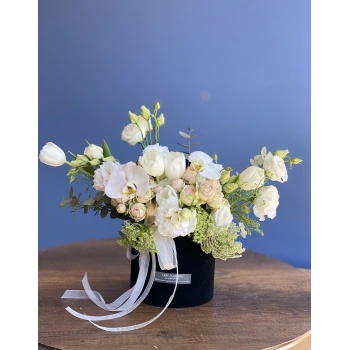 White Cream Arrangement in Black Box