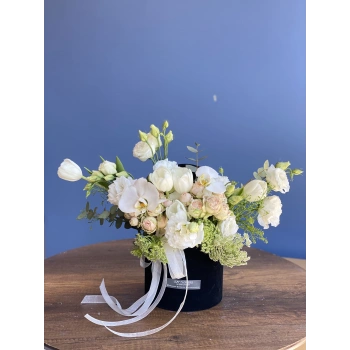 White Cream Arrangement in Black Box