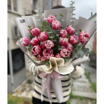 Pembe Kolombus Lale