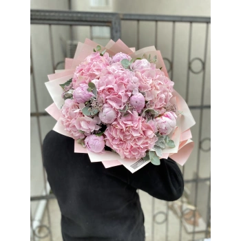 Peony Pink Hydrangea
