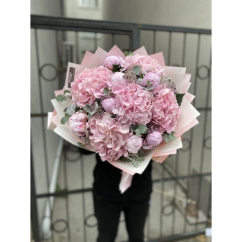 Peony Pink Hydrangea