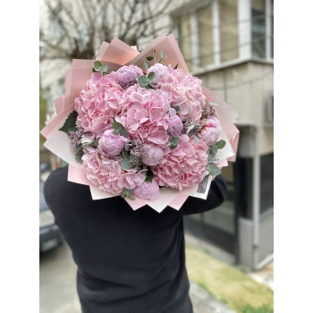 Peony Pink Hydrangea