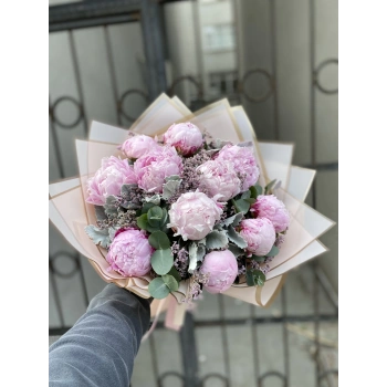 Pembe Şakayık Lila Limonium