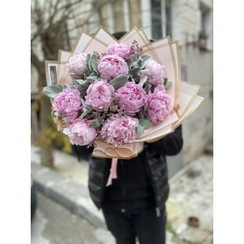 Pink Peony Limonium