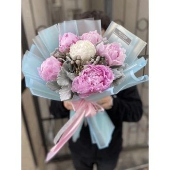 Pink White Peony