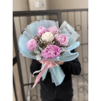 Pink White Peony
