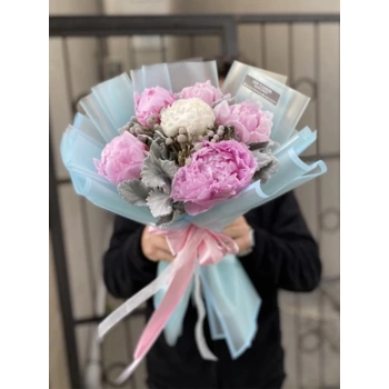 Pink White Peony