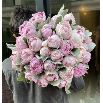 Pembe Şakayık 35 Lİ