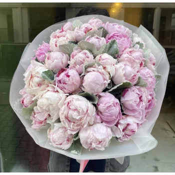 Pembe Şakayık 35 Lİ
