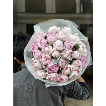 Pembe Şakayık 35 Lİ